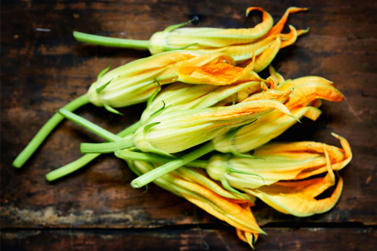 Fiori di zucca