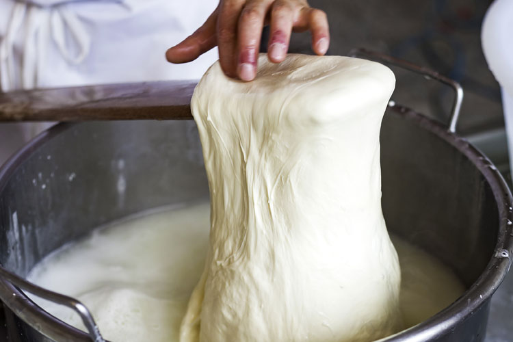 Mozzarella